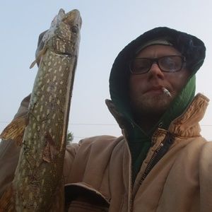 Meet your Posher, Justin